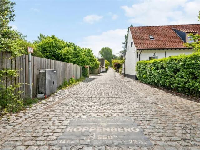 te koop Huis Bevere