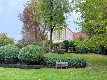 1210, Bruxelles-Capitale - Jardin, Cave