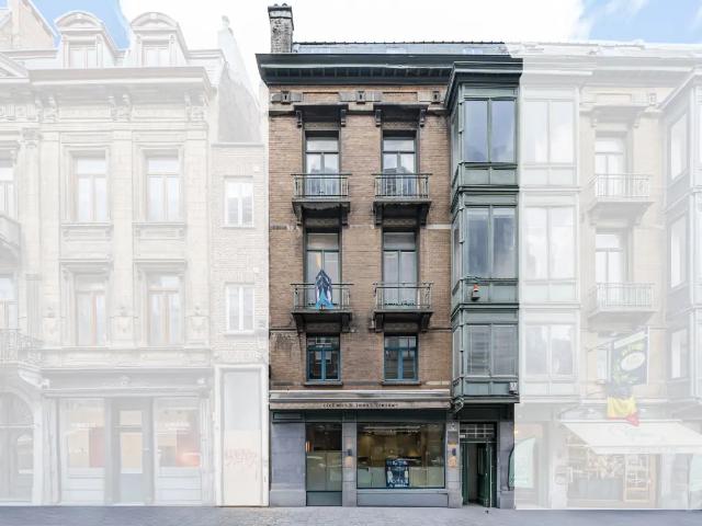 te koop Huis gemengd gebruik Brussel