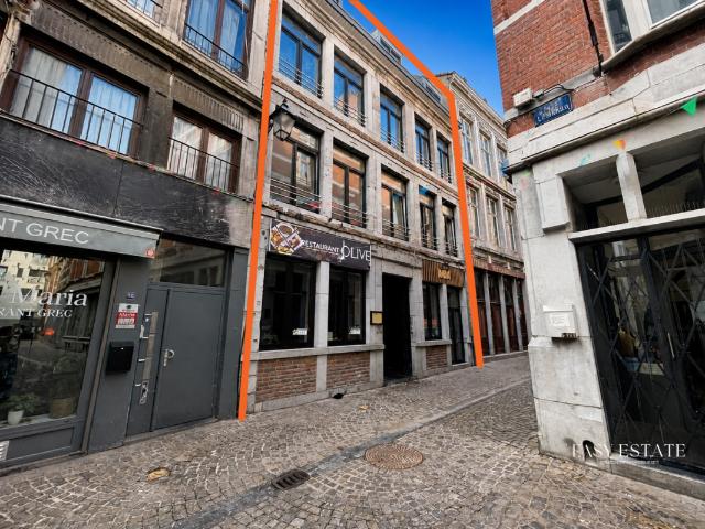 te koop Huis gemengd gebruik Luik