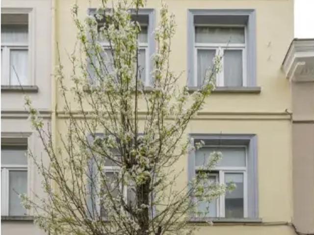 te koop Huis gemengd gebruik Sint Jans Molenbeek
