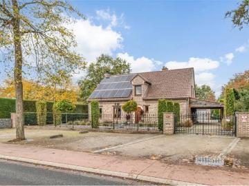 3920, Arrondissement de Maaseik, Limbourg, Flandre, Flandre