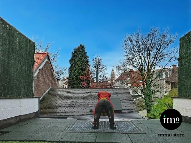 te koop Huis Sint Agatha Berchem