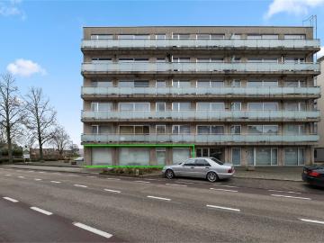 3800, Saint-Trond, Hasselt - Kelder