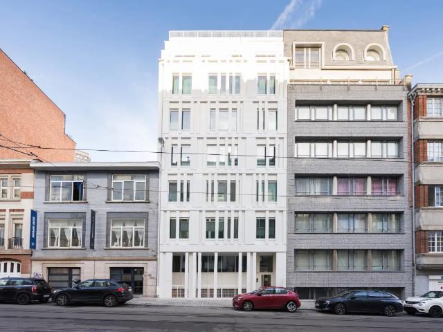 te koop Kot Brussel