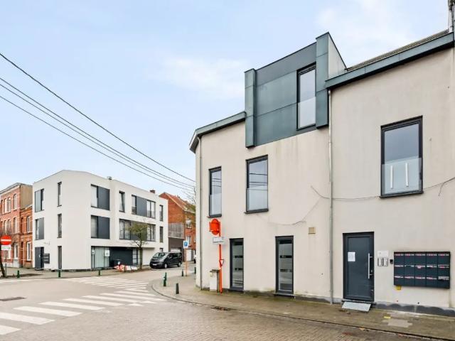 te koop Kot Kortrijk