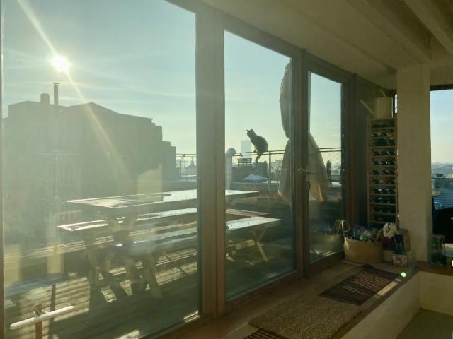 te koop Penthouse Brussel