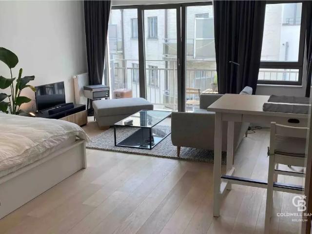 te koop Studio Brussel