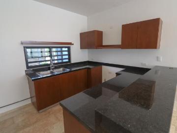 Temozon Norte, Mérida Yucantán, Yucatan
