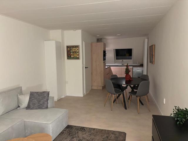 Temporary furnished apartment