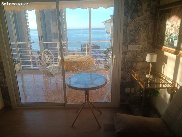? Temporary Rental in Levante Beach, Benidorm