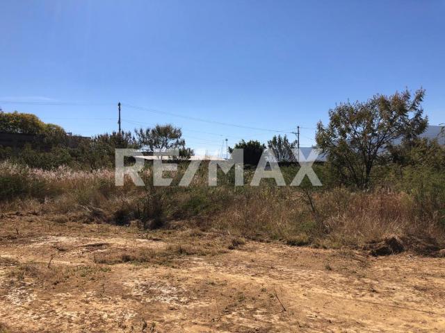 TENTA DE DOS TERRENOS JUNTOS EN TLALIXTAC