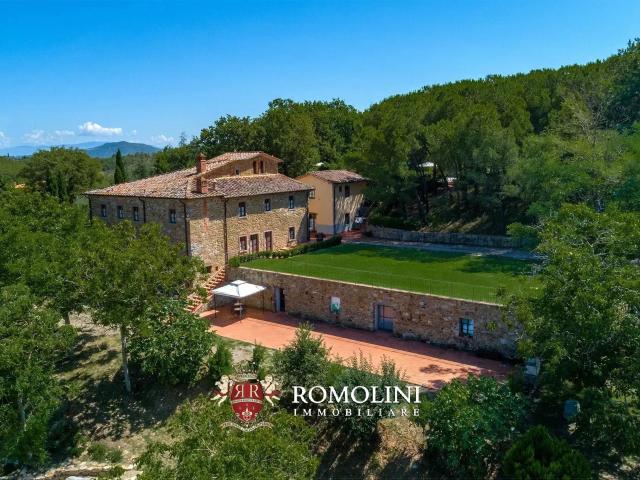 Tenuta Con Casale E Vigneto Chianti Docg In Vendita A Bucine. 615m² Arezzo