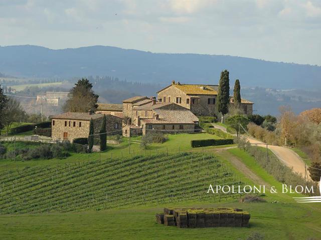 Tenuta del 1800 con vigneti, Chianti Classico, Siena – Tosca. 760m² Poggibonsi