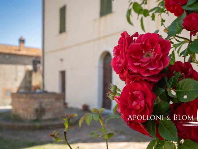 Tenuta di caccia La Maremmana, fattoria bio a Grosseto Tos. m² Arcidosso