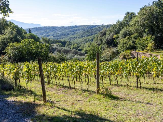 Tenuta in vendita a Montalcino, Sant'Angelo in Colle 1000m² Montalcino