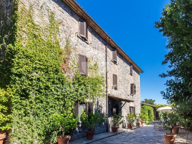 Tenuta Il Riccio 786m² Orvieto