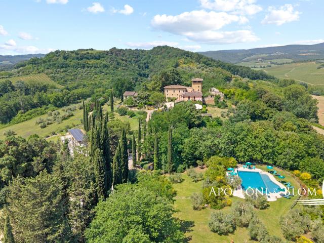Tenuta storica con vigneti e piscina, San Gimignano, Siena. 976m² San gimignano