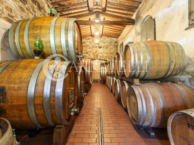 Tenuta Vitivinicola Biologica Di Prestigio Nel Cuore Di MONT. 1354m² Montalcino
