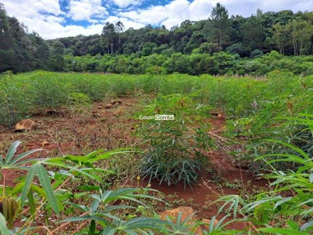 TENHA SUA CHÁCARA COM CASTATA EM SÃO CHICO