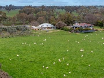 'Tea Garden Creek Farm' & 'Tea Garden Creek Cottage' 2269 2271 Snow Road, Markwood