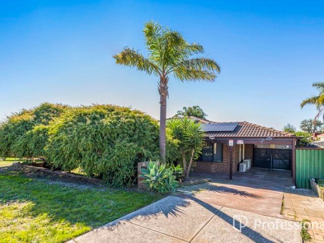 TEAM BAZZO PRESENTS 11 GLENMONT GARDENS, BALLAJURA