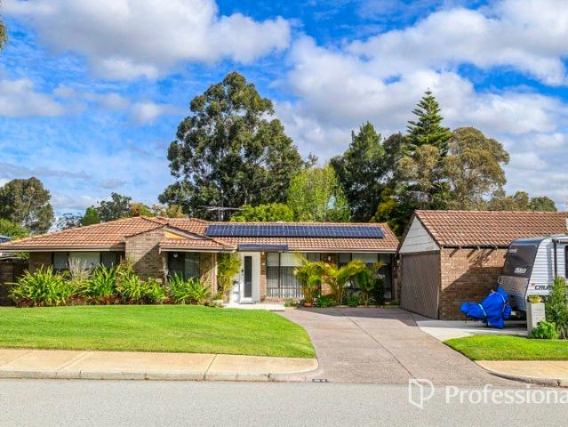 TEAM BAZZO PRESENTS 51 EVERGREEN RAMBLE, BALLAJURA