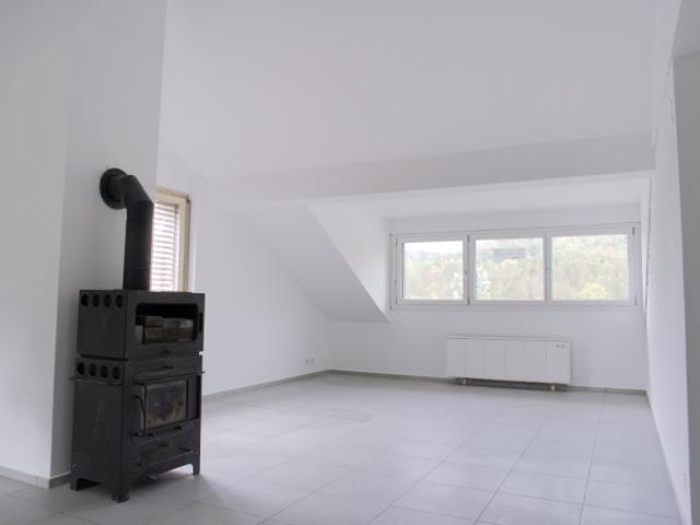 Teilsanierte Dachgeschosswohnung mit zusätzlichem Ausbaupotential