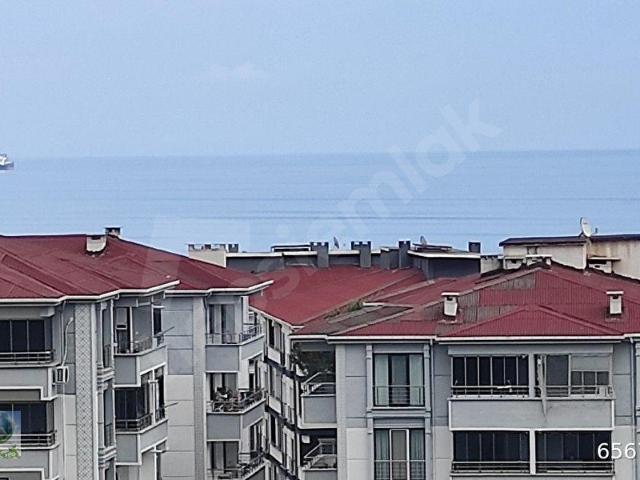TEKİRDAĞ, S.PAŞA,ALTINOVA,MH. ÇIKIŞI,2+1,ARAKAT,SIFIR,HAVUZLU,KAP AÇIK, OTOPARK,SİTEDE,ANLIK, FİYAT