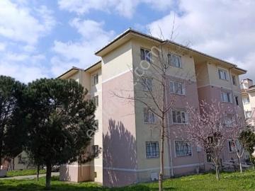 Tekirdağ süleymanpaşa Karadeniz Toki Dy1.blok Kiralık Boş Daire