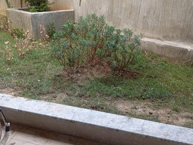 TELLİOĞLU DİKİLİTAŞ SIFIR BİNA OTOPARKLI 1+1 BAHÇE KAT