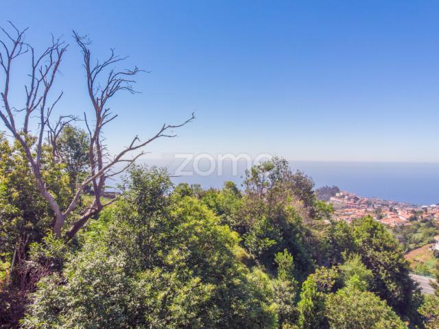 TEREENO LOCALIZADO NO FUNCHAL