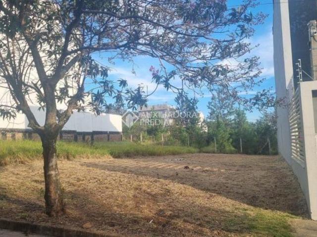 Tereno com 200m²