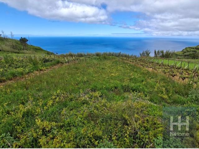 Tereno Urbanizável, amplo, plano, com maravilhosa vista mar em Fajã de Ovelha, Calheta