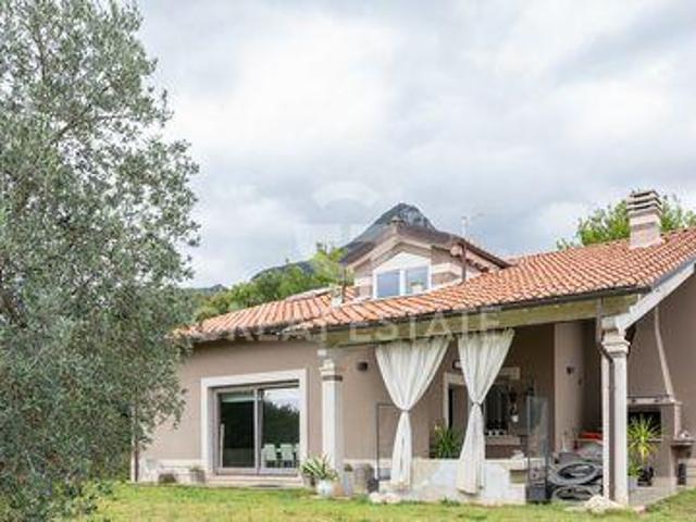 Terni Terni 104868307