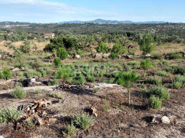 Terra de 1490m2 em Lagares Coimbra