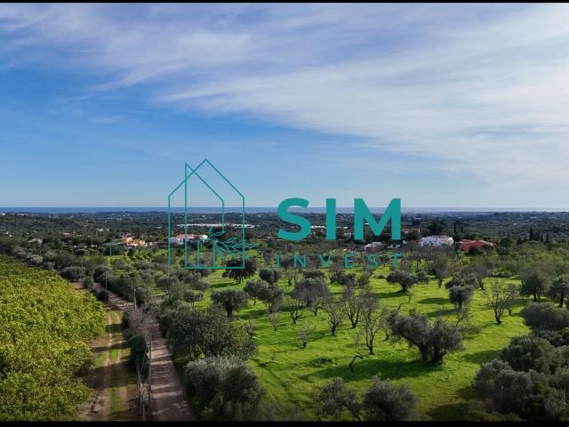 Terra de cultura com pomar de citrinos em actividade numa aerea de 2 hectares