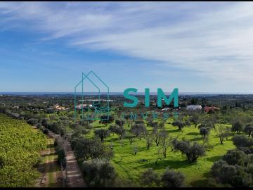 Terra de cultura com pomar de citrinos em actividade numa aerea de 2 hectares