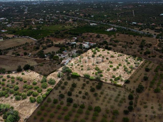 Terra em Moncarapacho, Olhão