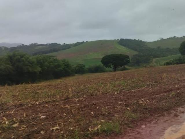 TERRA FÉRTIL: Região reconhecida pela alta produtividade e qualidade do solo._Sul d