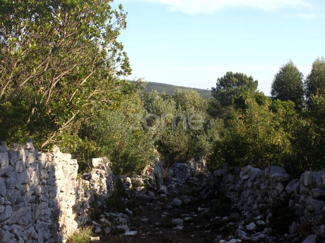 Terra Murada Cerrado em Mira de Aire