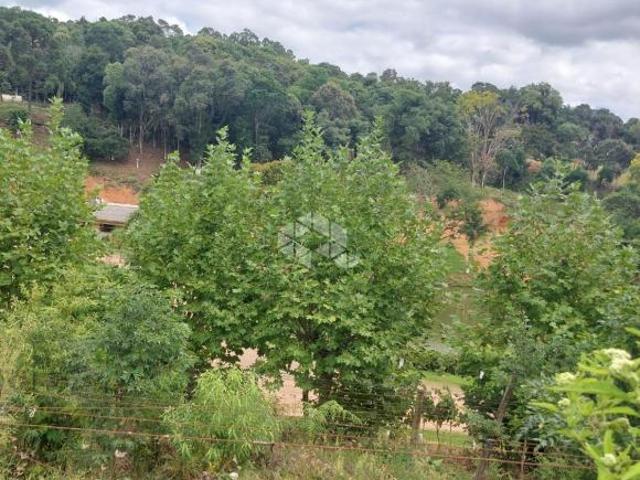 Terra no 15 da Graciema Vale dos Vinhedos