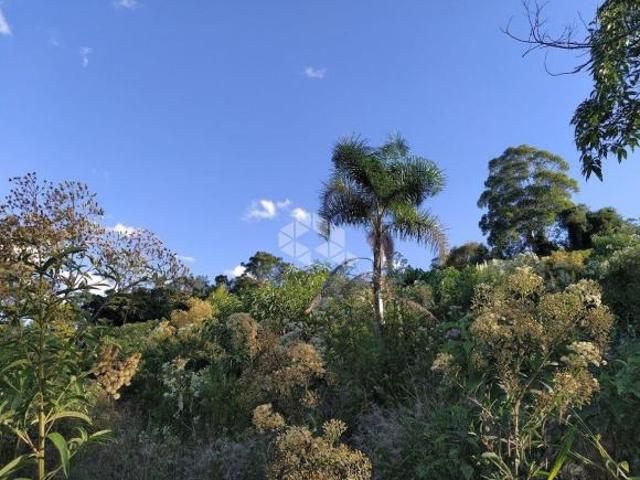 Terra no Vale dos vinhedos