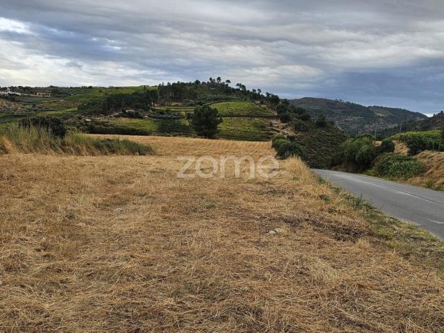 Terra rústica, Murça