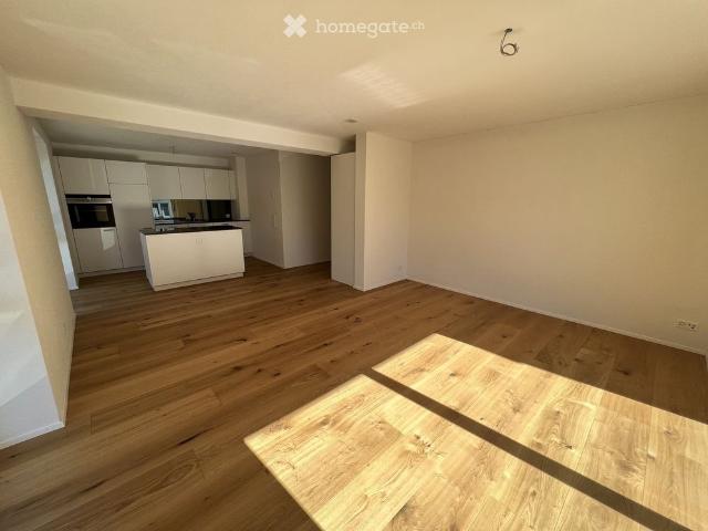 Terrace flat in Adliswil