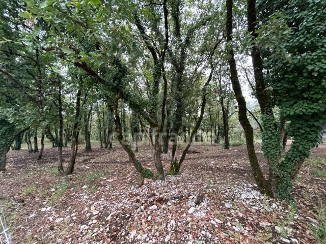Terrain à vendre 16300m² SAINT PANTALY D'EXCIDEUIL 24
