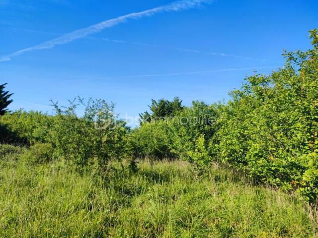 Terrain de loisir et arbres fruitiers de 5088 m² avec une belle vue