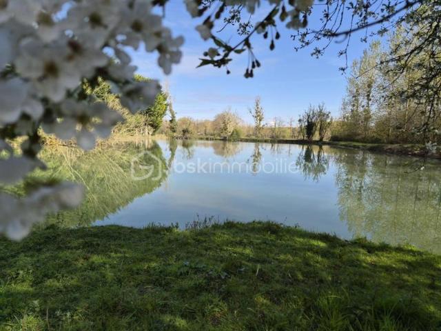 Terrain de loisirs 11 000 m² – étang 6 000 m²