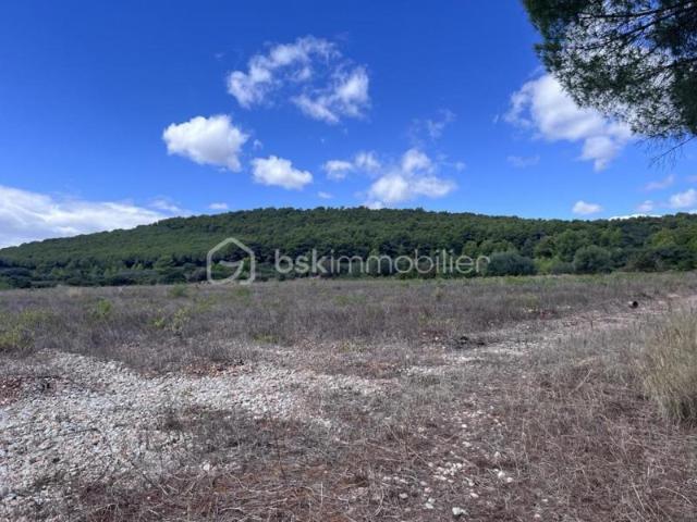 Terrain de loisirs 1,6 Ha avec partie boisée
