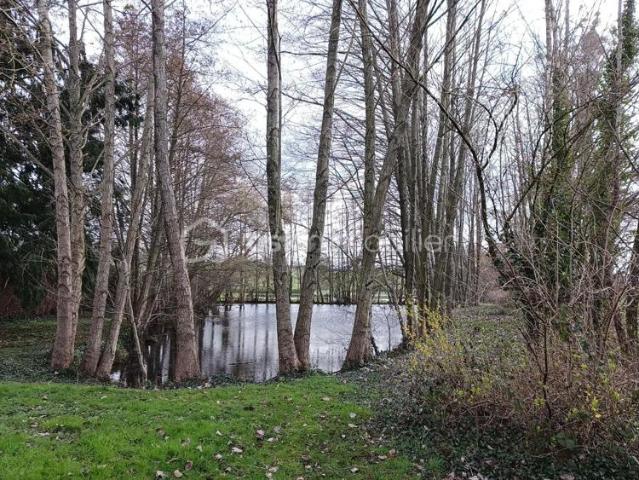 terrain de loisirs